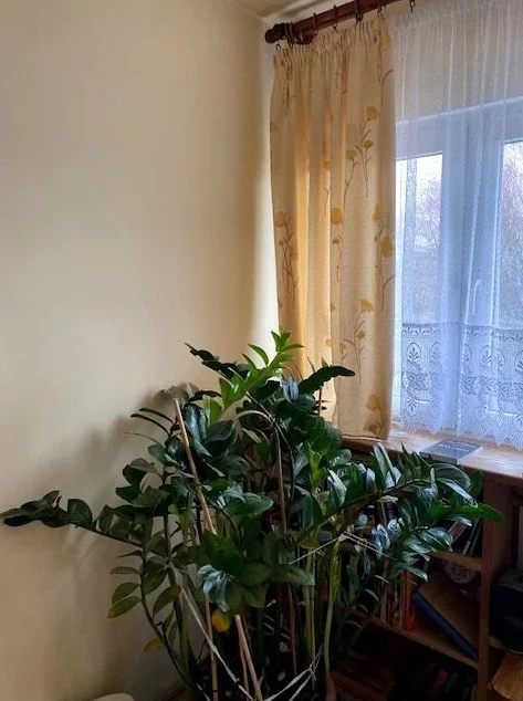 833888 - zdjęcie nr 3