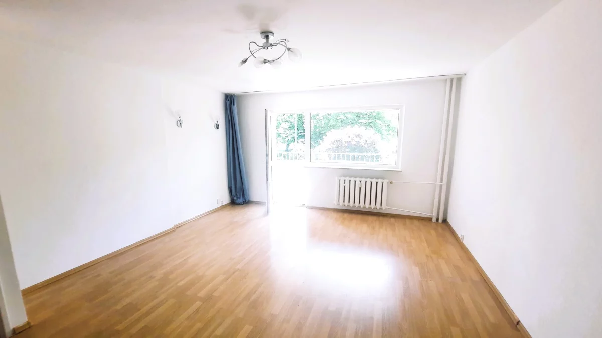 833108 - zdjęcie nr 1