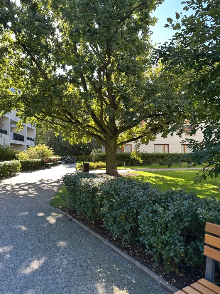 2 pokoje, mieszkanie 45,00 m², piętro 2, oferta nr , 834181, Warszawa, Białołęka, Białołęka, Dziatwy
