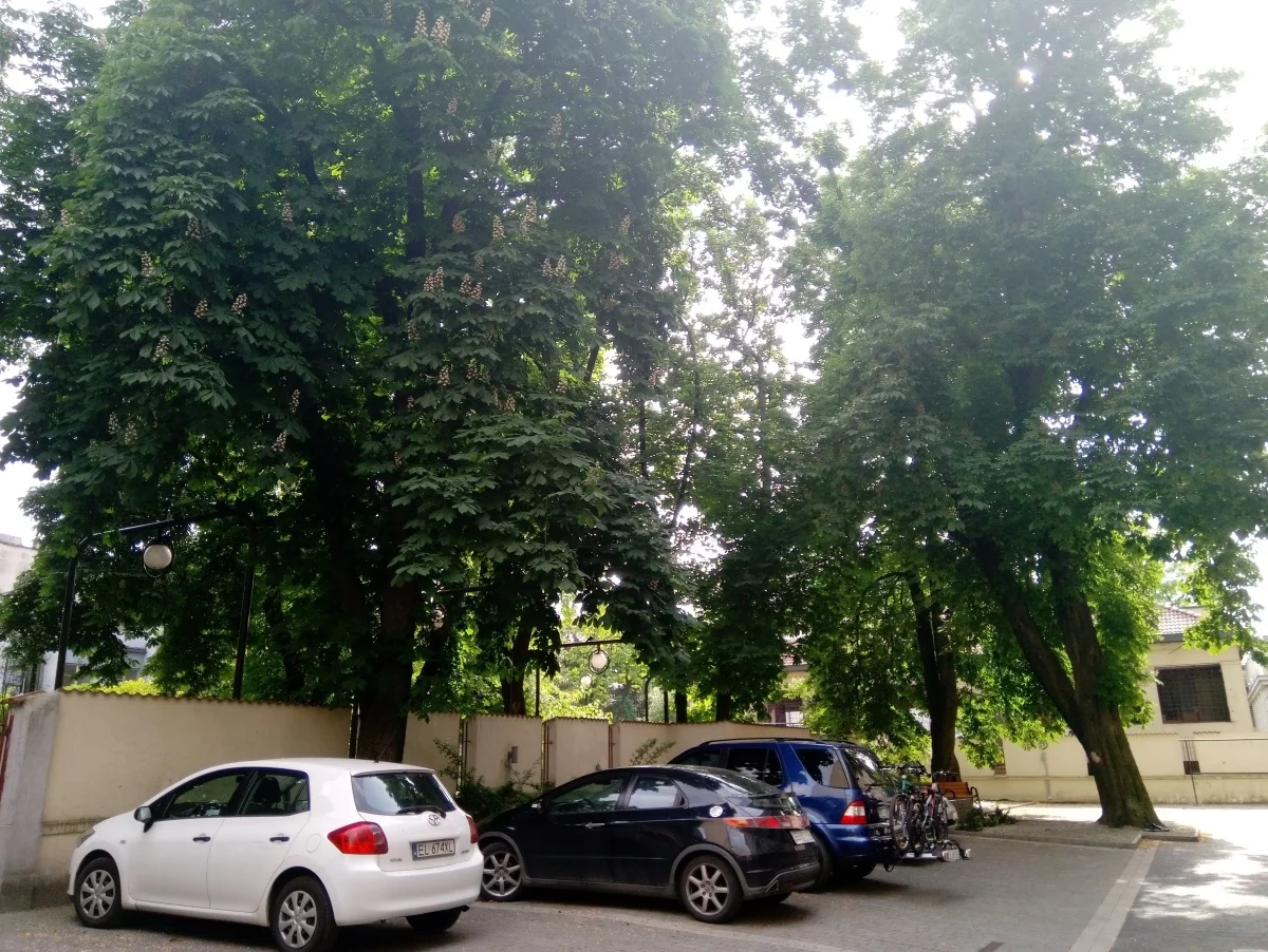 2 pokoje, mieszkanie 67,00 m², piętro 1, oferta nr , 834040, Łódź, Śródmieście, Śródmieście, Piotrkowska