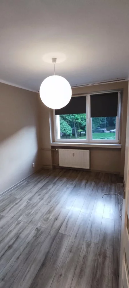 833404 - zdjęcie nr 0