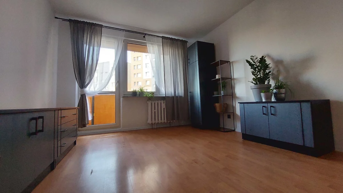 833149 - zdjęcie nr 2