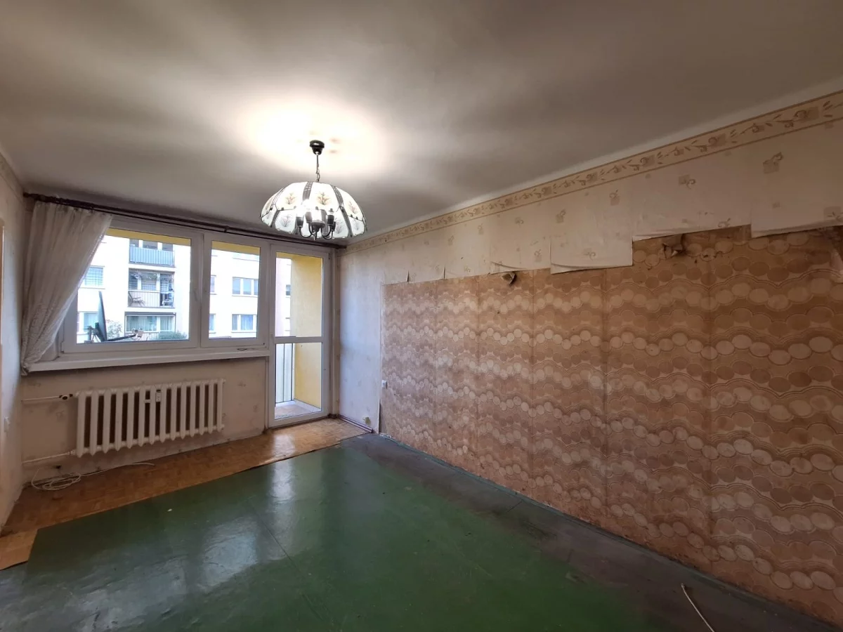 833582 - zdjęcie nr 0