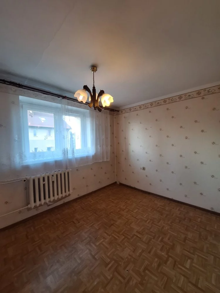 833582 - zdjęcie nr 1