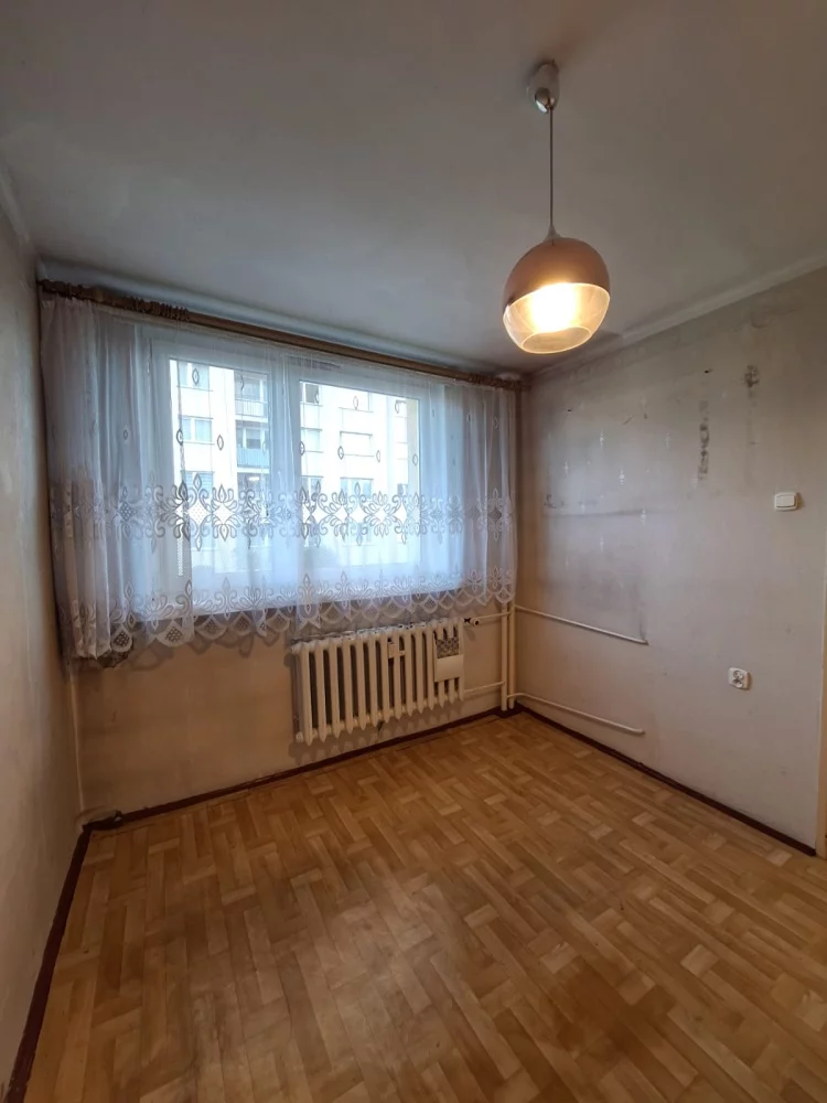 833582 - zdjęcie nr 2