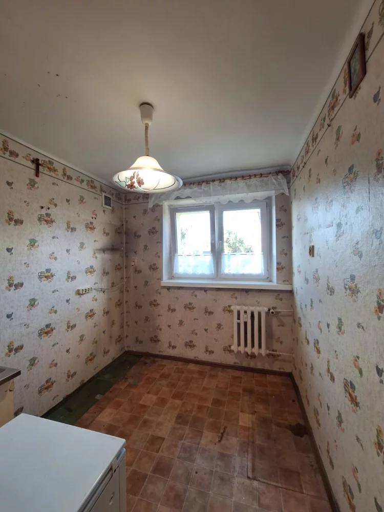 833582 - zdjęcie nr 3