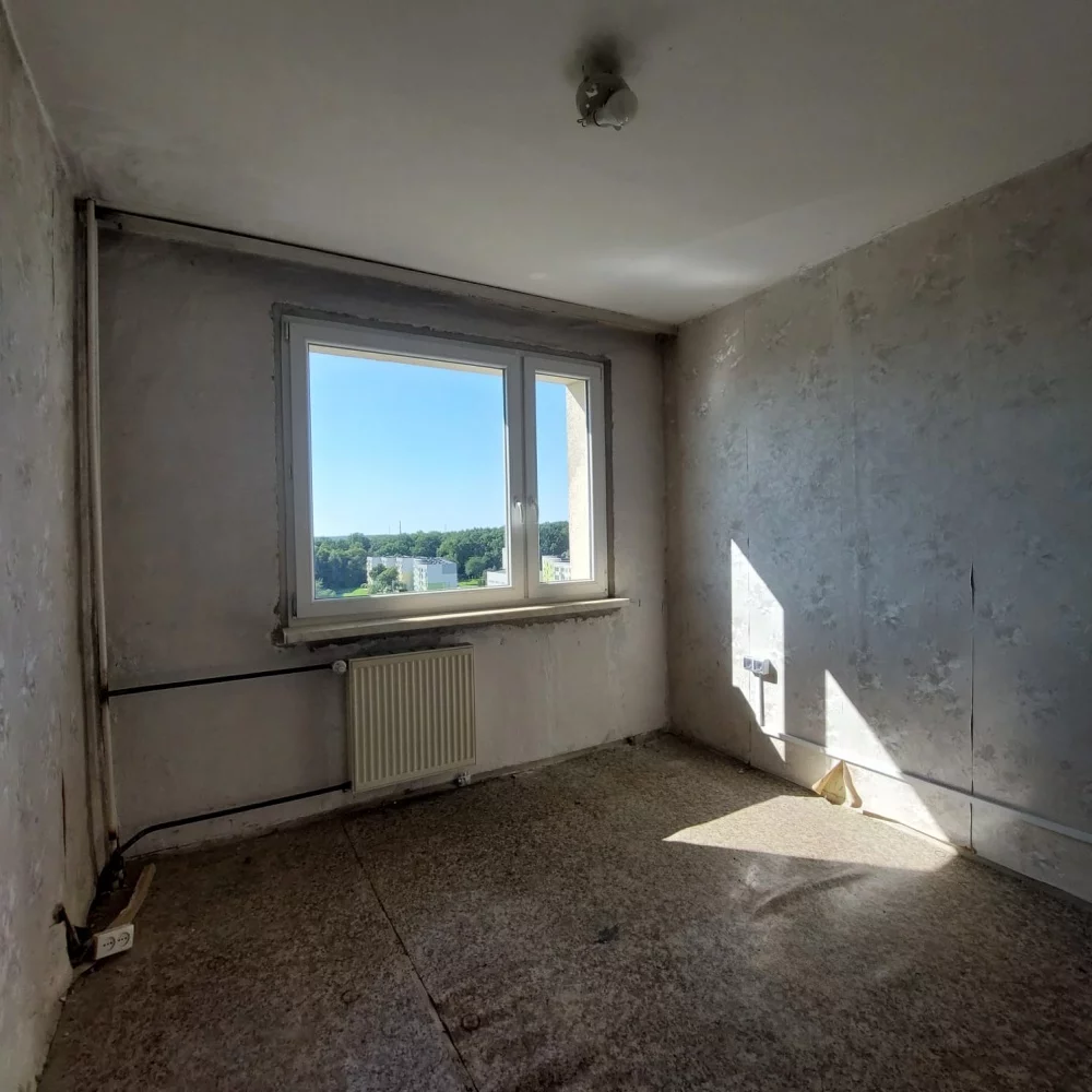 833581 - zdjęcie nr 1