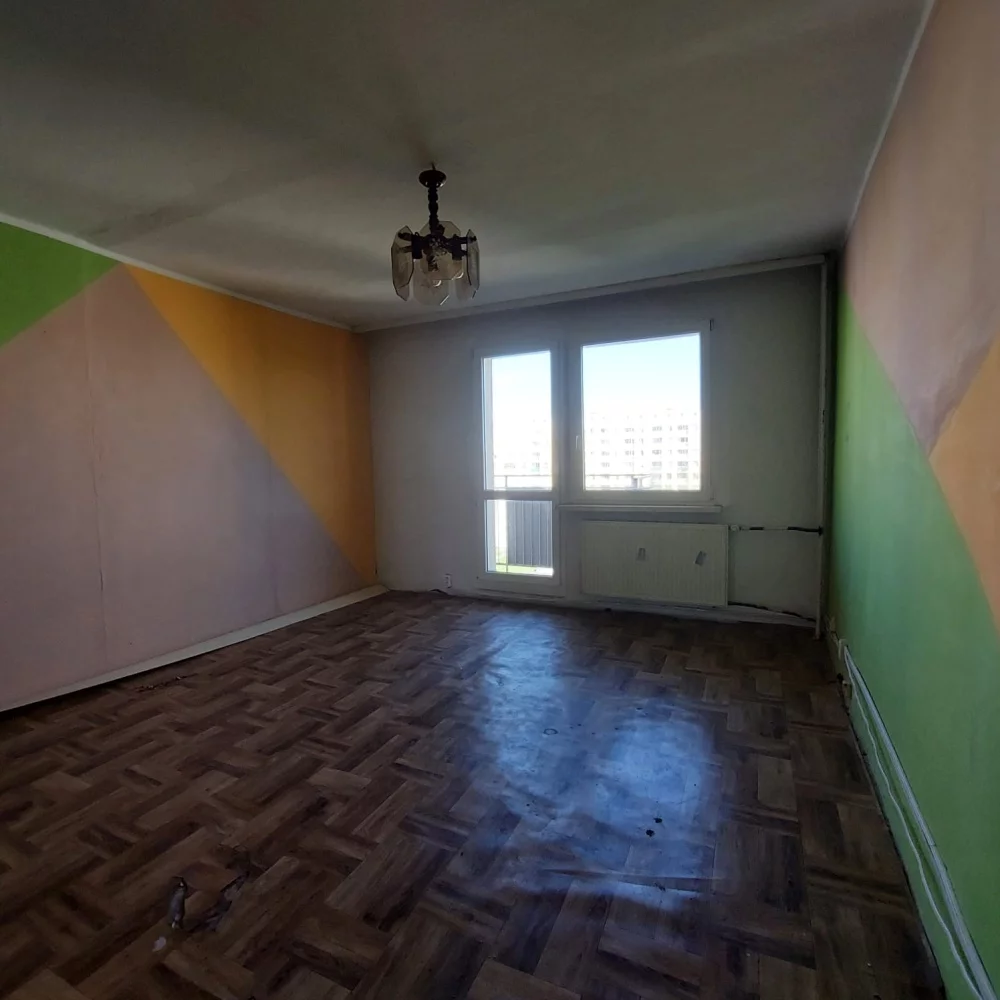833581 - zdjęcie nr 2