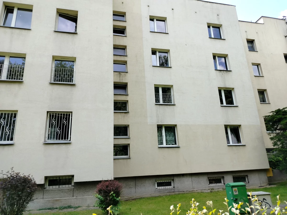 833538 - zdjęcie nr 1