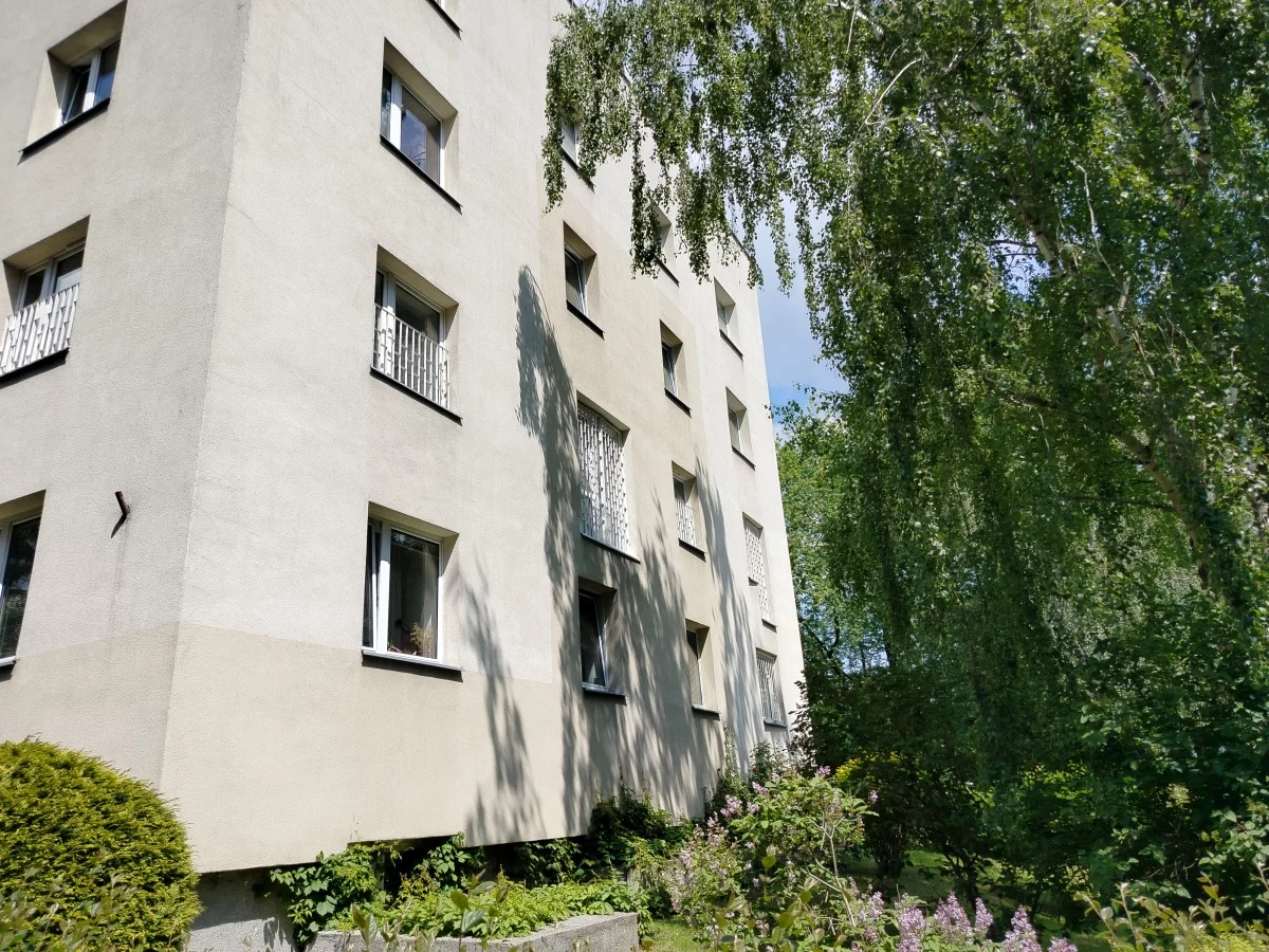 833538 - zdjęcie nr 2