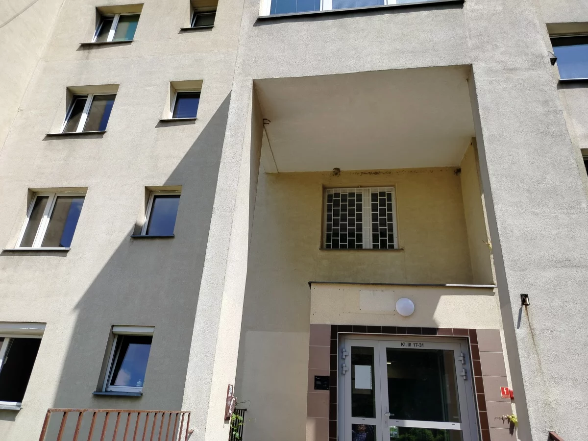 833540 - zdjęcie nr 2