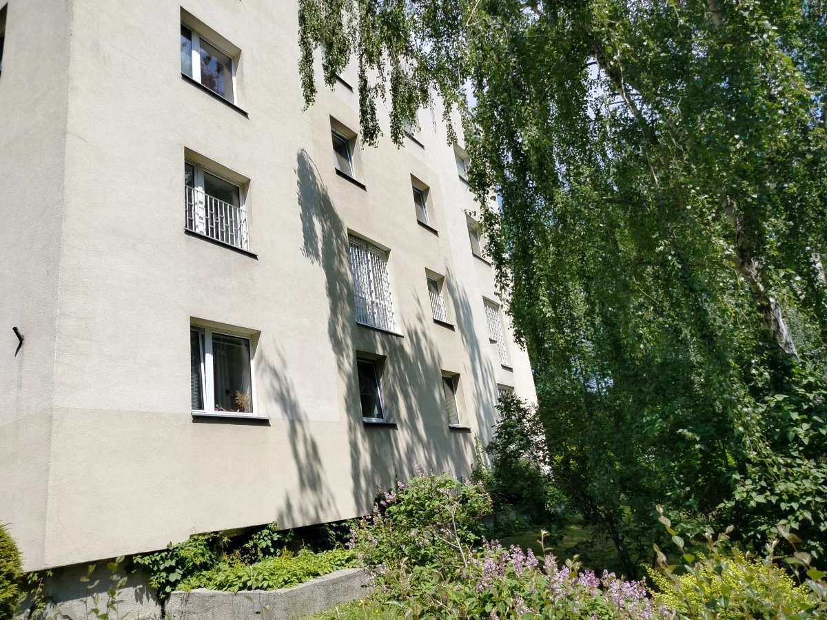 833540 - zdjęcie nr 3