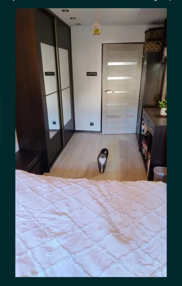 3 pokoje, mieszkanie 58,00 m², parter, oferta nr , 834228, Łódź, Bałuty, Bałuty, Inowrocławska