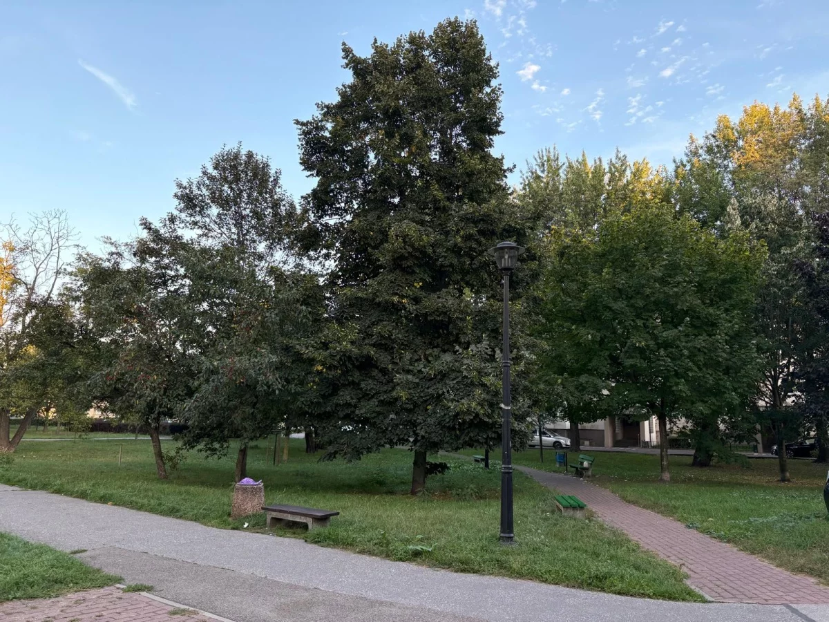 3 pokoje, mieszkanie 63,00 m², parter, oferta nr , 834027, Warszawa, Targówek, Targówek, Mokra