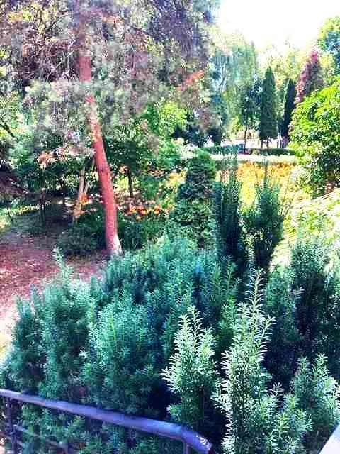 3 pokoje, mieszkanie 63,00 m², parter, oferta nr , 833324, Radom, Zamłynie, Natolińska