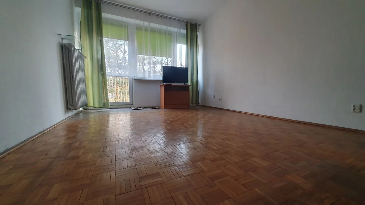 833534 - zdjęcie nr 2