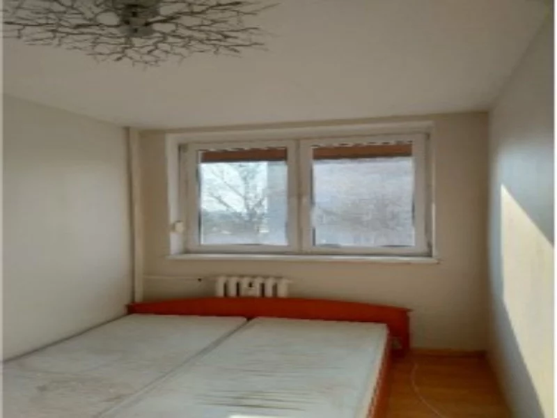 833366 - zdjęcie nr 2