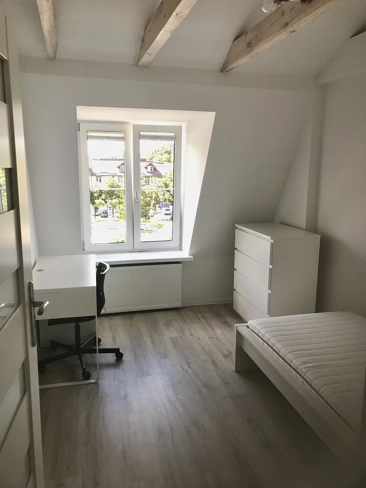 833707 - zdjęcie nr 3