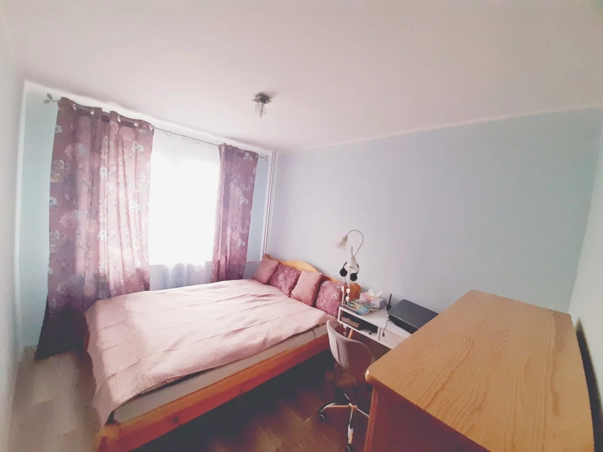 833359 - zdjęcie nr 0