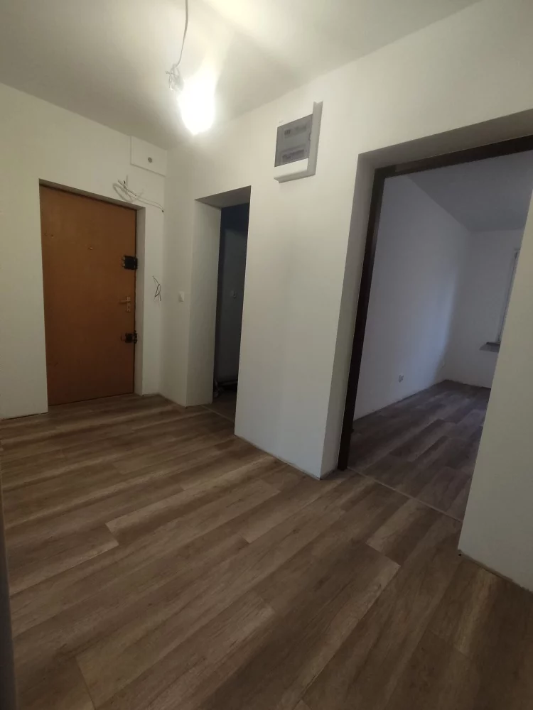 833718 - zdjęcie nr 2