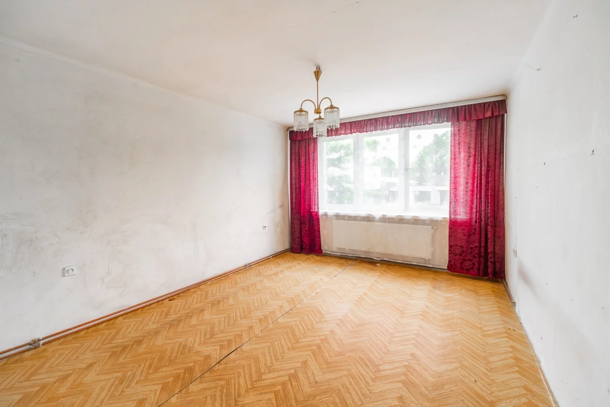 833736 - zdjęcie nr 2
