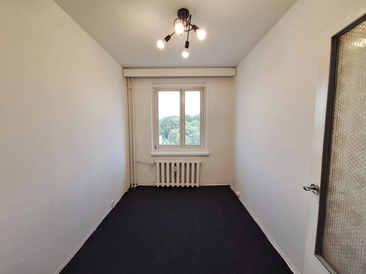 832950 - zdjęcie nr 3
