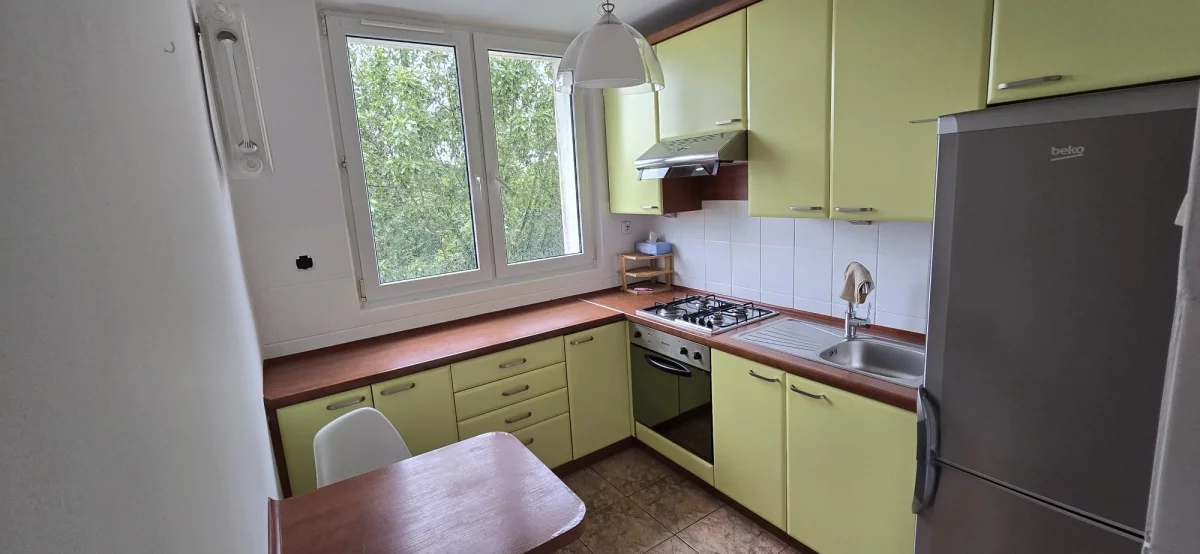 833521 - zdjęcie nr 0
