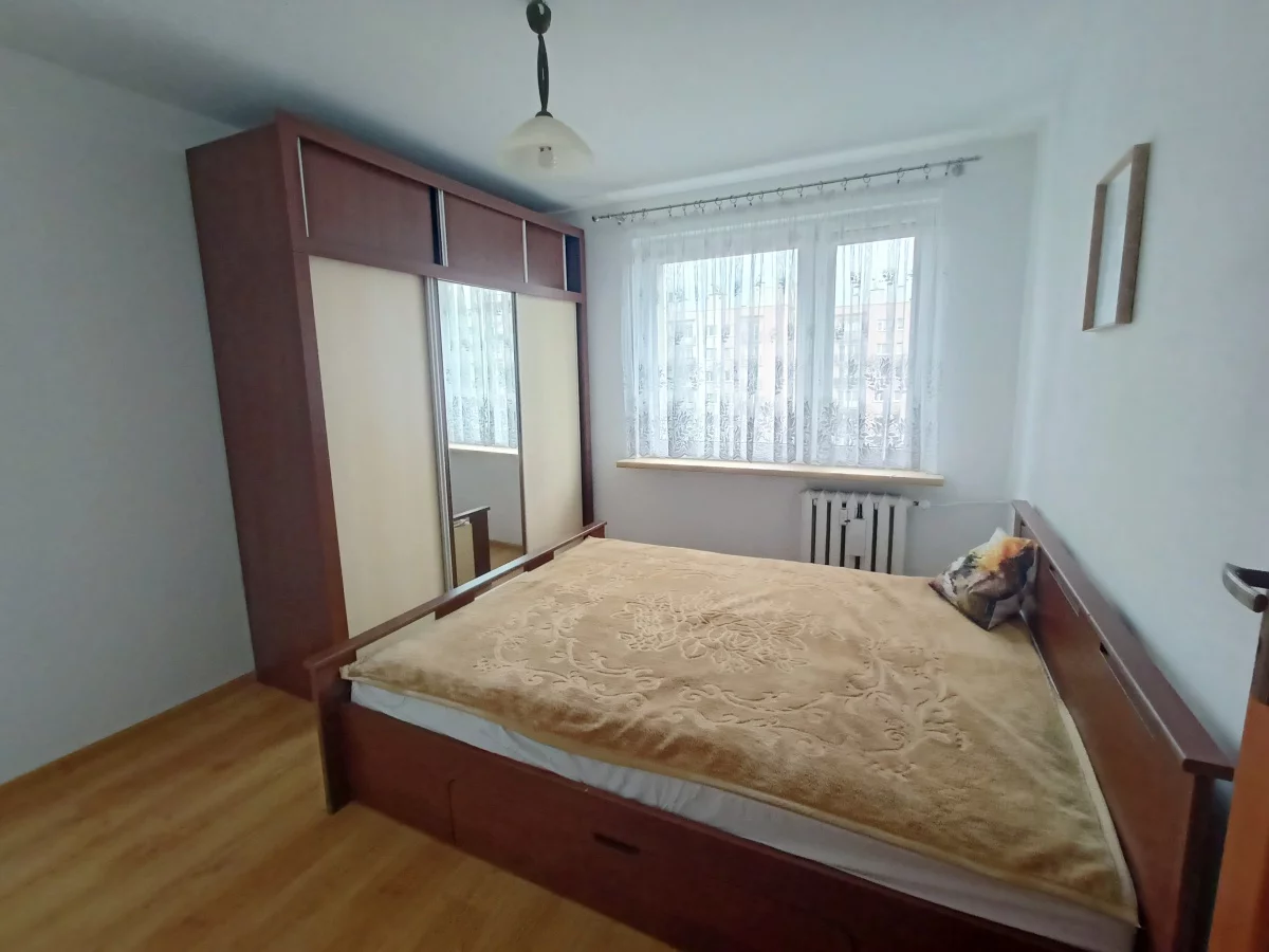 833391 - zdjęcie nr 0