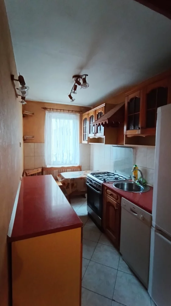 833391 - zdjęcie nr 2