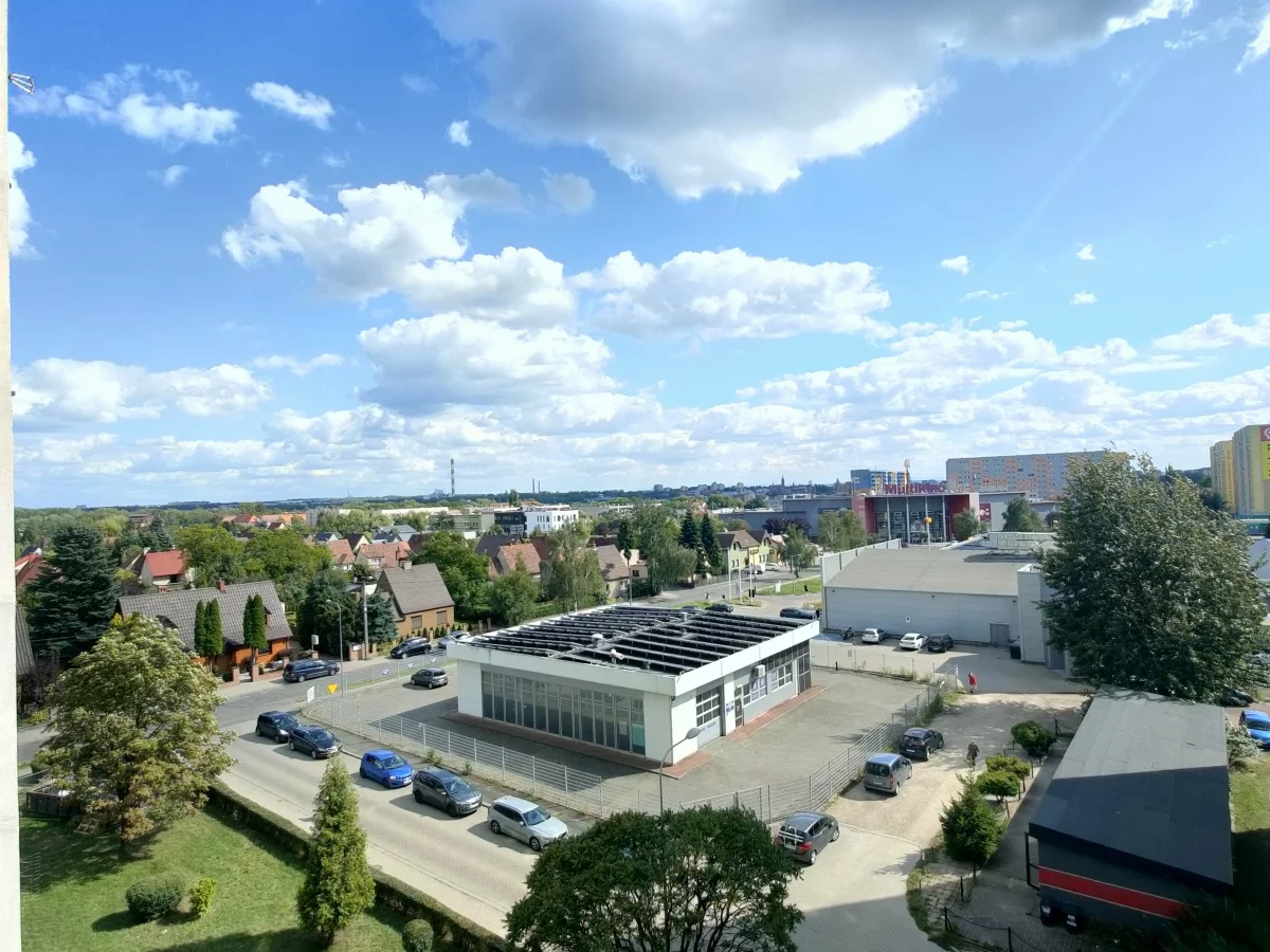 833695 - zdjęcie nr 2