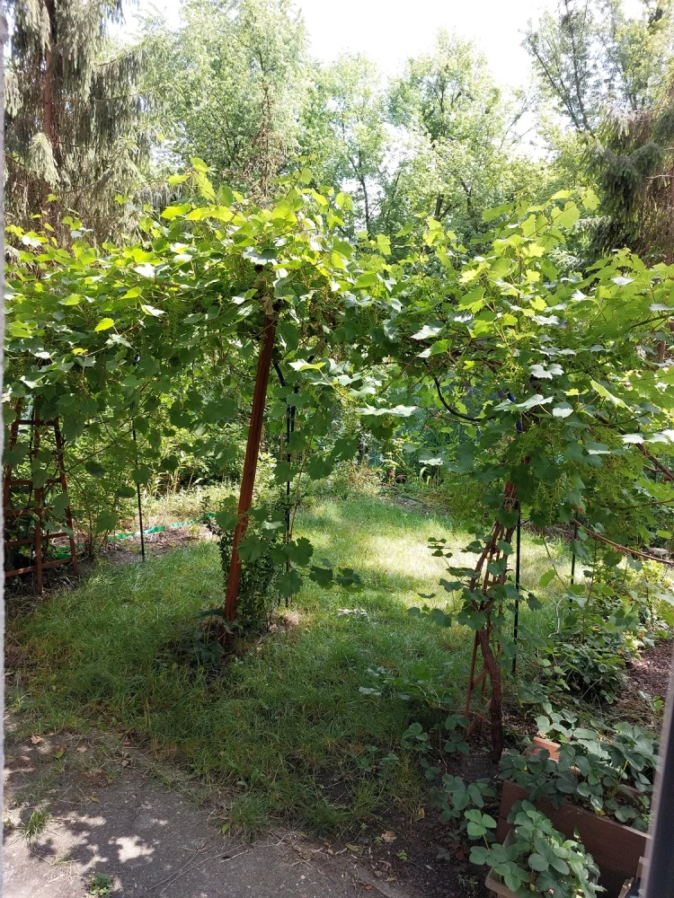 4 pokoje, mieszkanie 79,00 m², parter, oferta nr , 833077, Łódź, Śródmieście, Śródmieście, Edwarda Abramowskiego