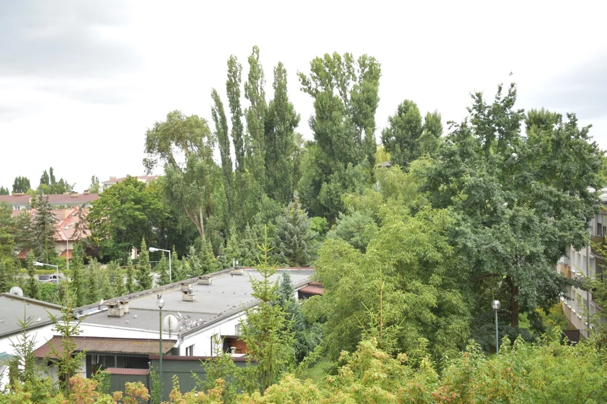 4 pokoje, apartament 93,00 m², piętro 3, oferta nr , 833738, Poznań, Naramowice, Naramowice, Rubież