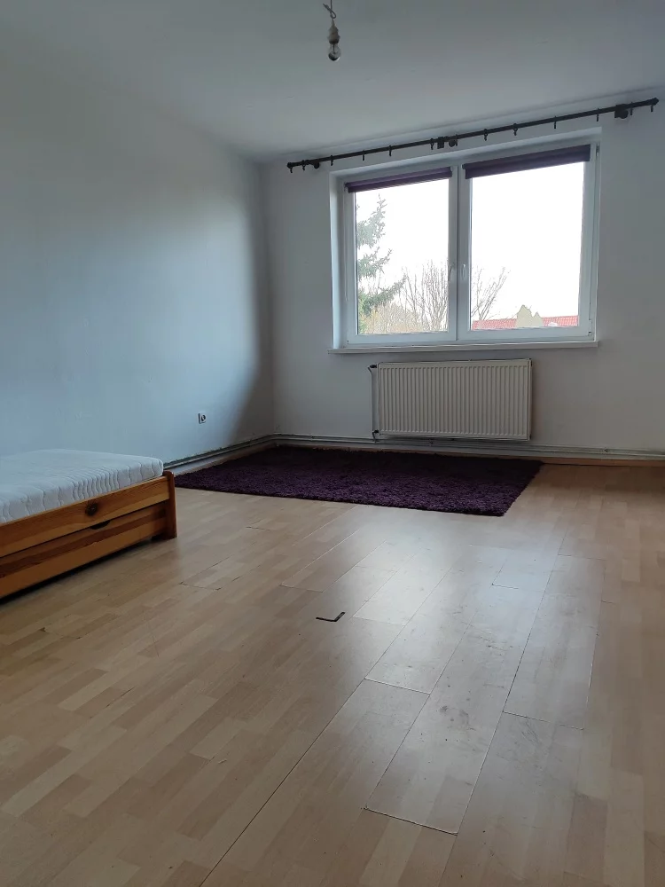 832428 - zdjęcie nr 2