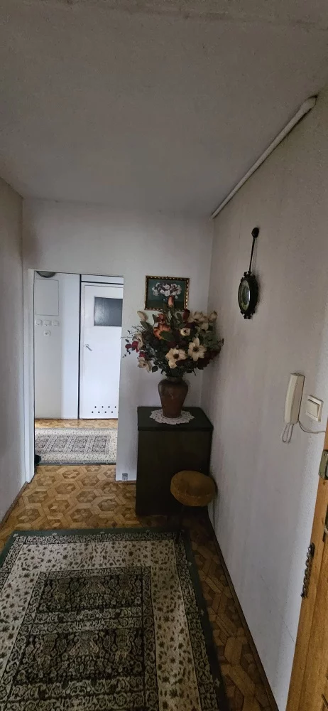 833137 - zdjęcie nr 2