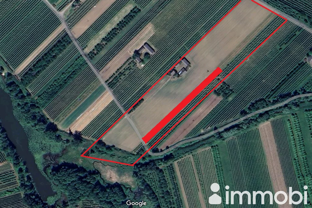 Działka 33 800,00 m², Śniadków Górny A, Sprzedaż