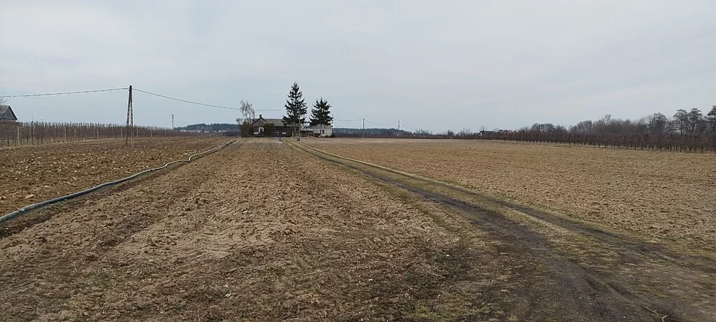 Działka 33 800,00 m², oferta nr , 7/8647/OGS, Śniadków Górny A