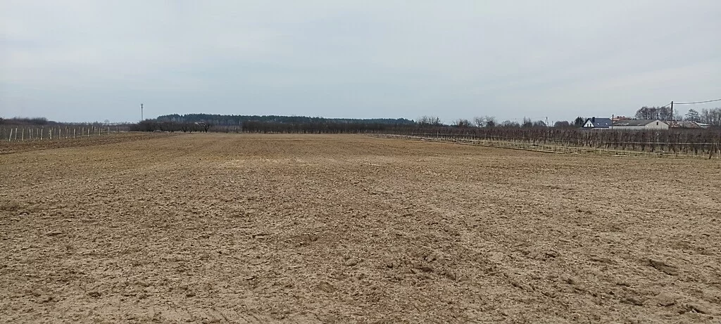 Działka 33 800,00 m², oferta nr , 7/8647/OGS, Śniadków Górny A