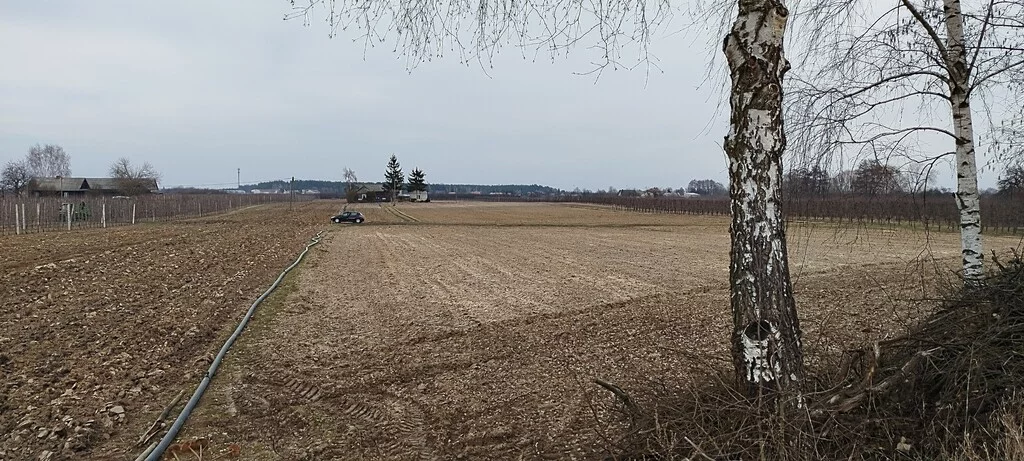 Działka 33 800,00 m², oferta nr , 7/8647/OGS, Śniadków Górny A