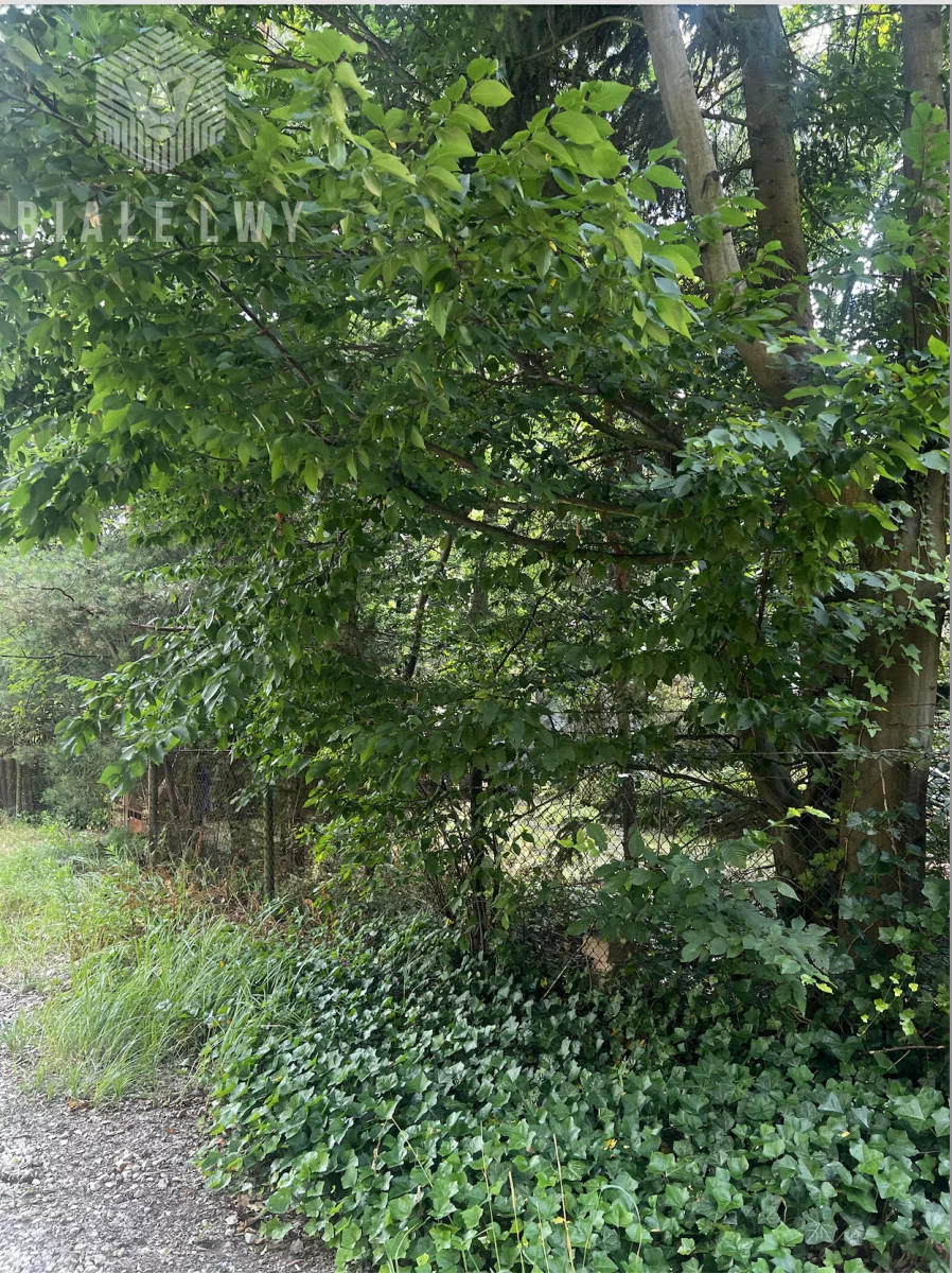 Dom 100,00 m², oferta nr , BLN711605, Magdalenka