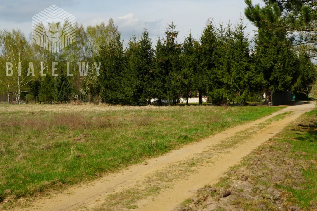 BLN358564 - zdjęcie nr 4