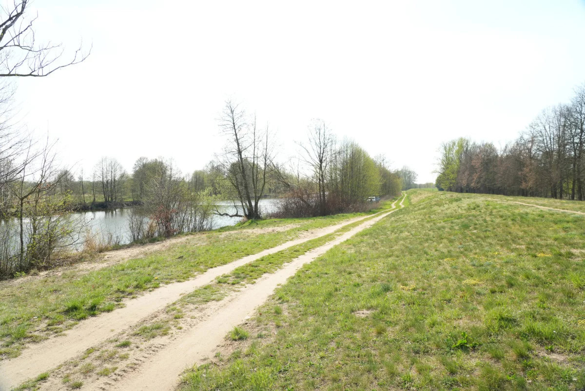 Dom 70,00 m², oferta nr , BLN358564, Popowo-Parcele, Pierwszych Płatków