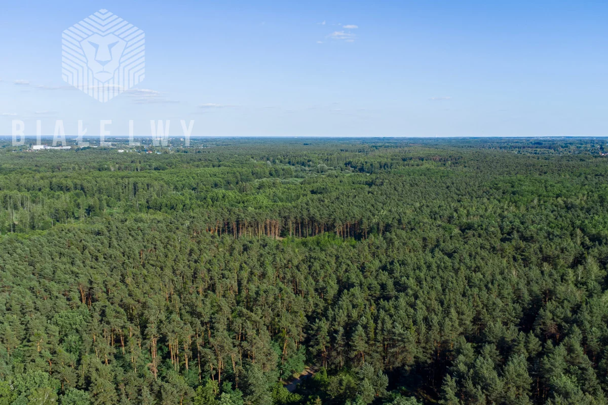 Dom 176,88 m², oferta nr , BLN709878, Orzeszyn, Kasztanowa