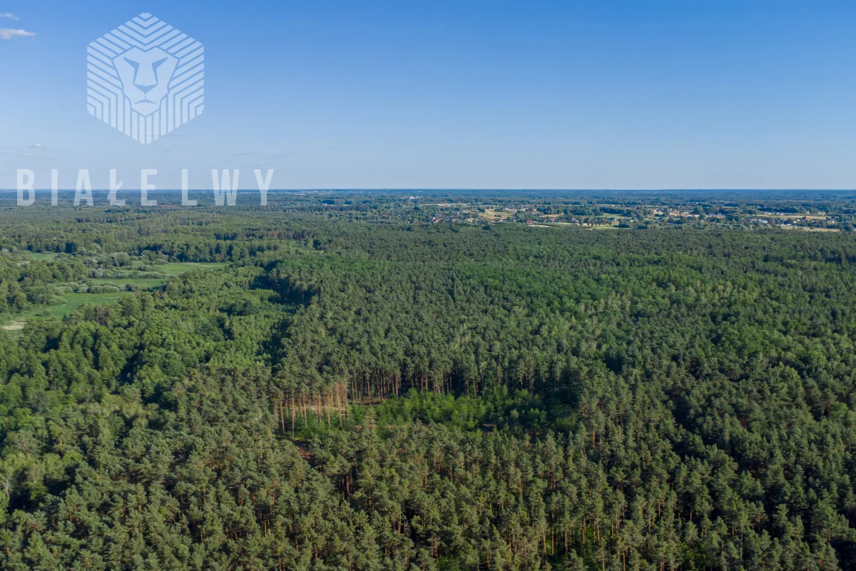 Dom 176,88 m², oferta nr , BLN709878, Orzeszyn, Kasztanowa