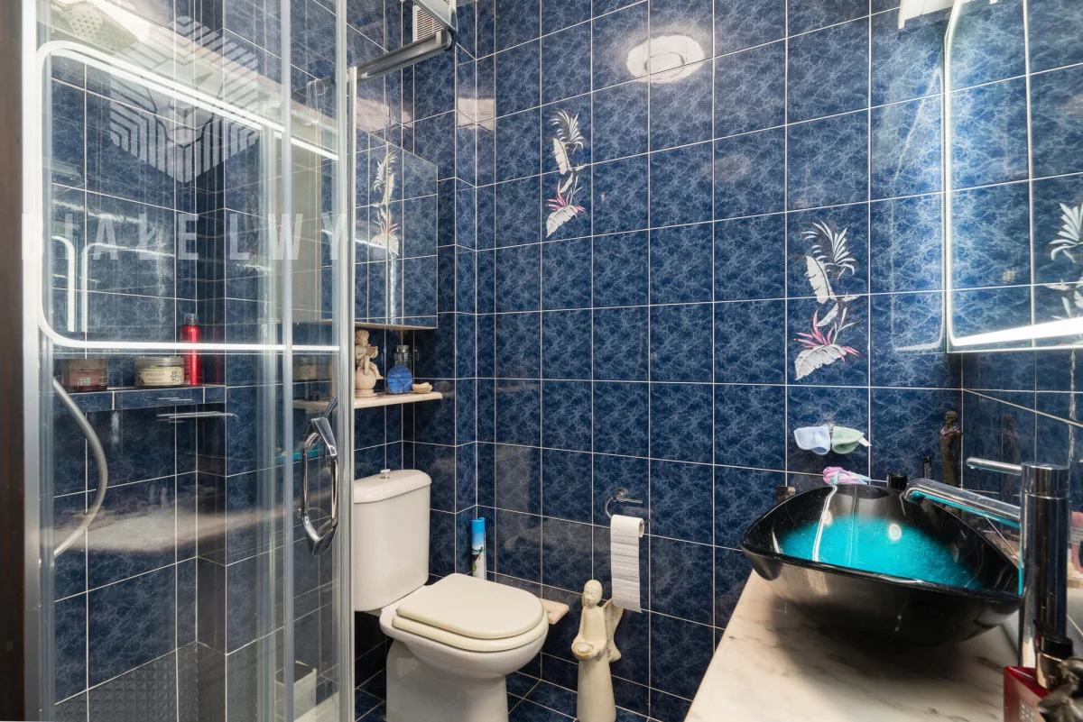 Dom 463,00 m², oferta nr , BLN398698, Kanie, Kręta