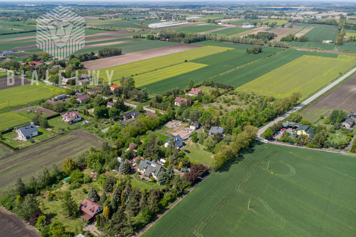 BLN410923 - zdjęcie nr 2