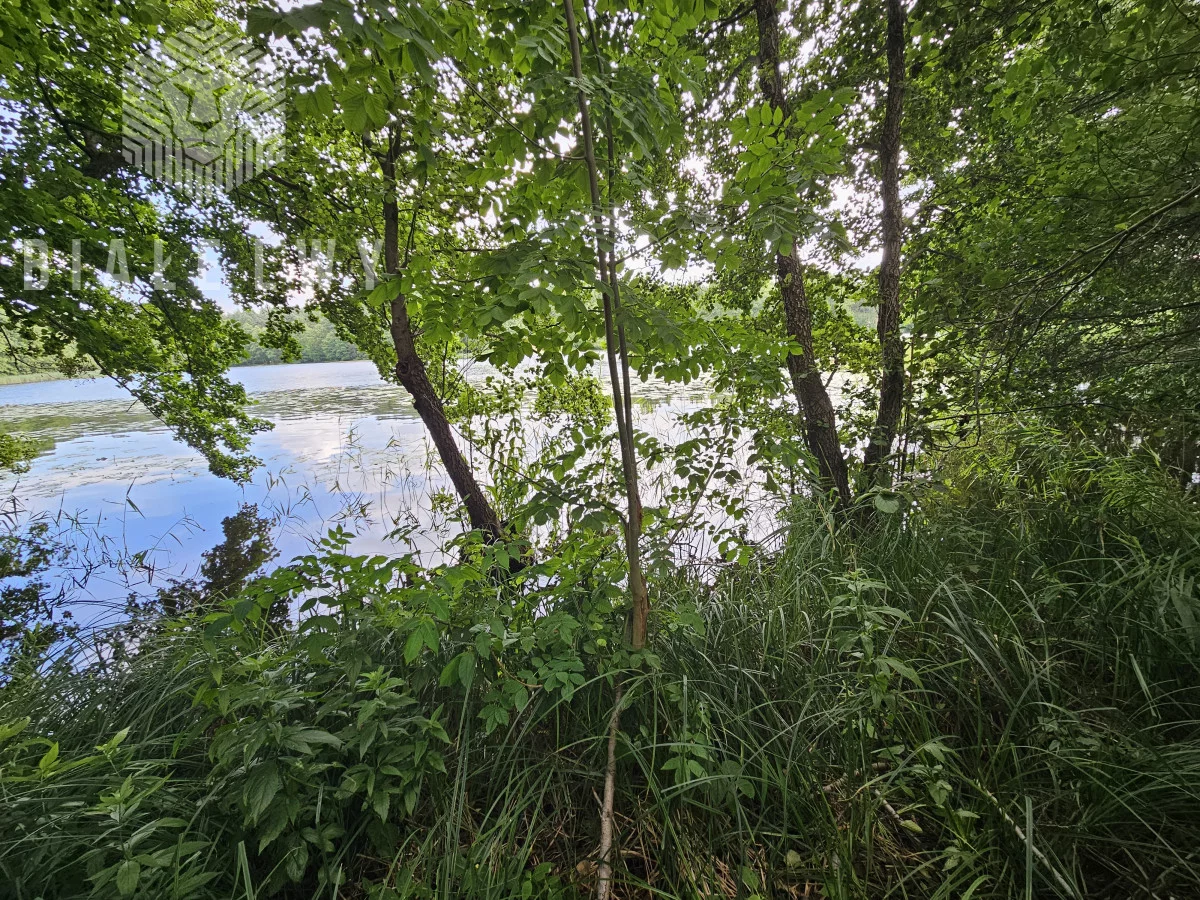 BLN203219 - zdjęcie nr 0