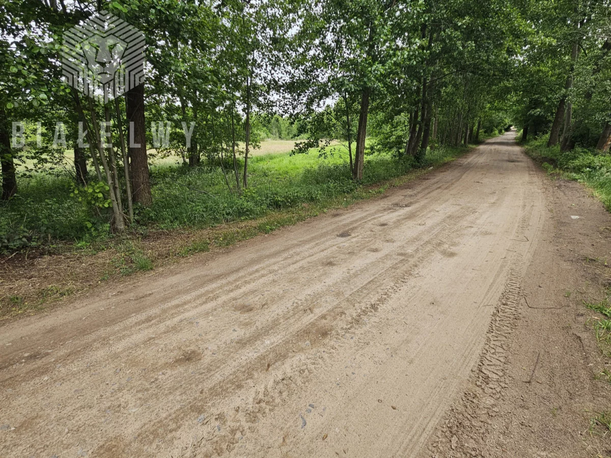 BLN203219 - zdjęcie nr 2