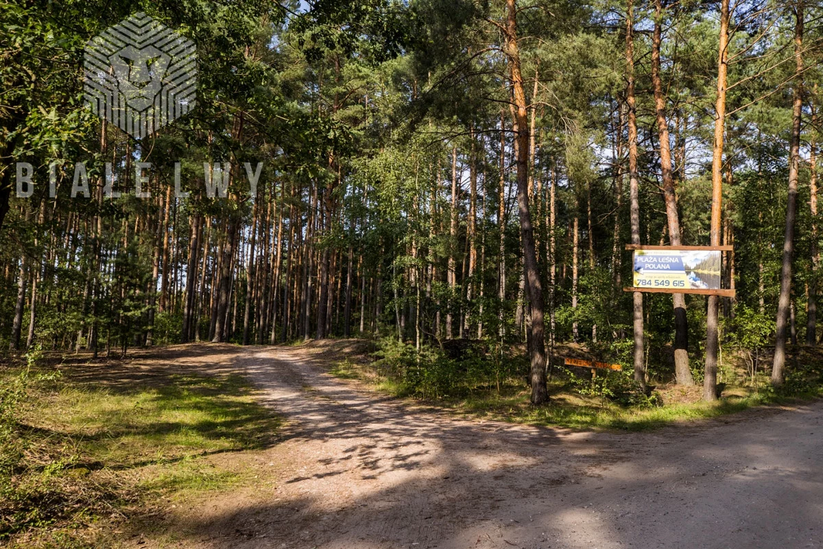 Działka 11 200,00 m², oferta nr , BLN642240, Gorzewo