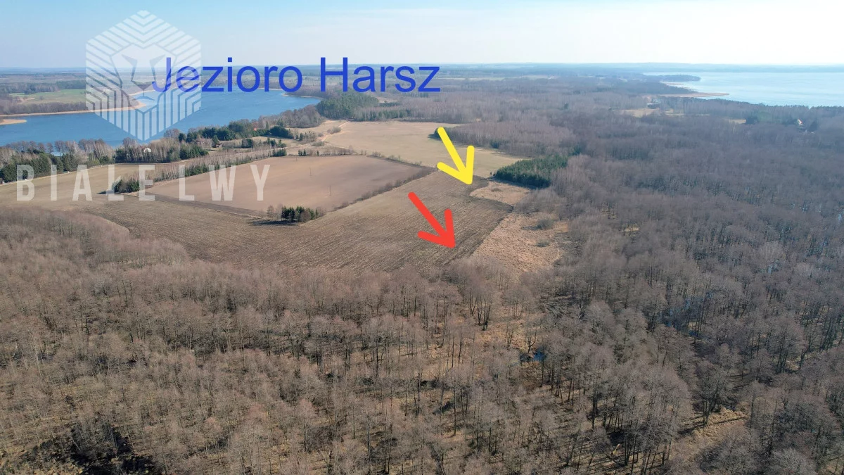 Działka 3 024,00 m², oferta nr , BLN468856, Harsz