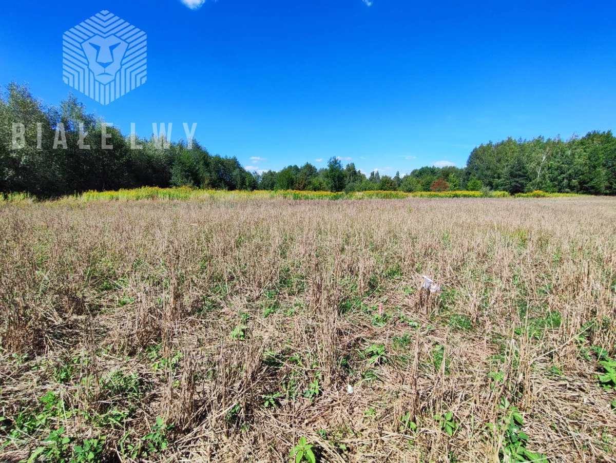 Działka 1 000,00 m², Stare Babice, Izabelińska, Sprzedaż